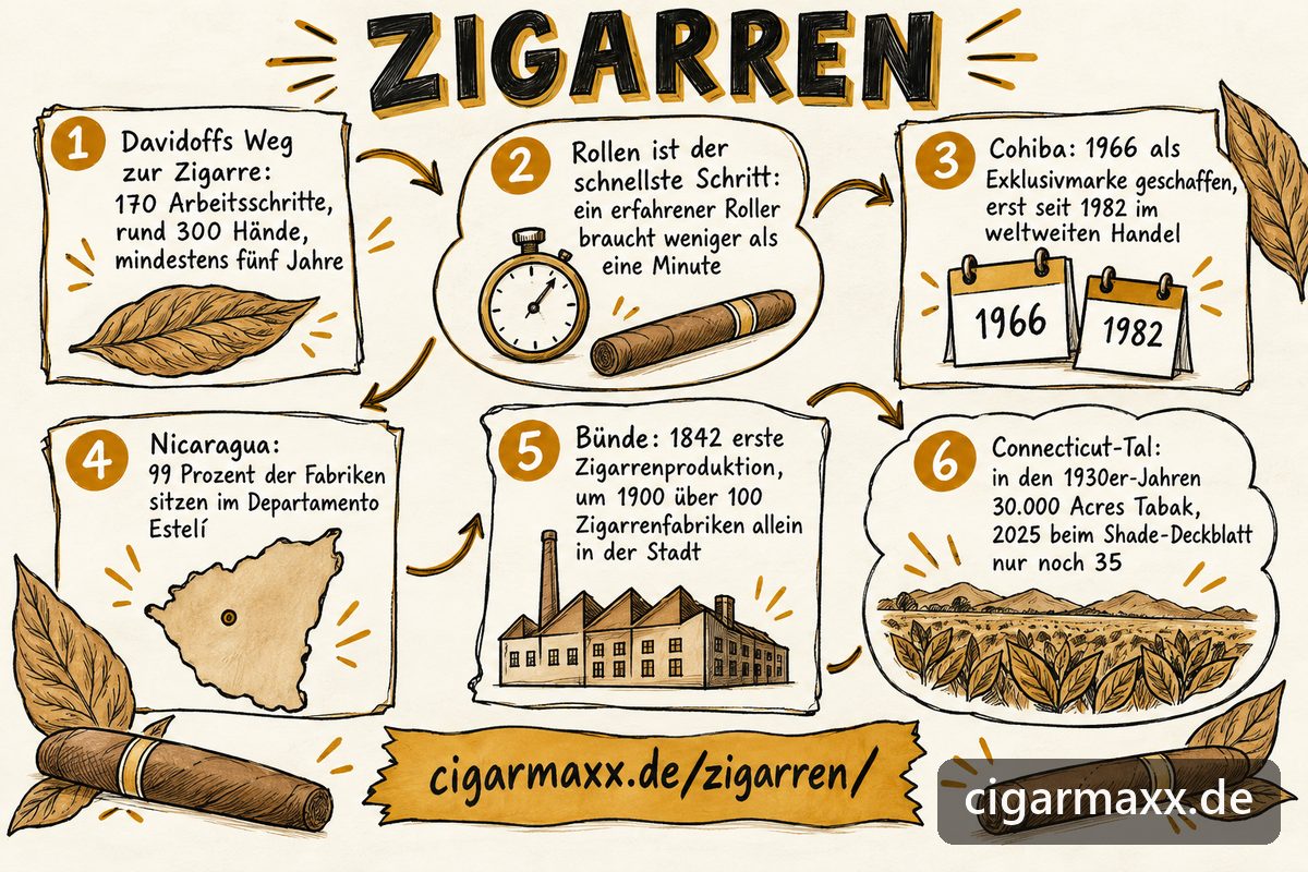Sketchnote zu Zigarren: Davidoffs Weg mit 170 Arbeitsschritten und mindestens fünf Jahren, Rollen in weniger als einer Minute, Cohiba seit 1966, Fabriken im Departamento Estelí, Bünde seit 1842, Connecticut-Tabak von 30.000 auf 35 Acres